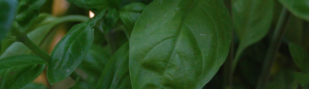 Parenti e Padelle